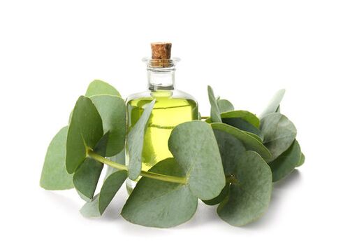 Eukalyptusöl als Teil der Demyxil -Creme